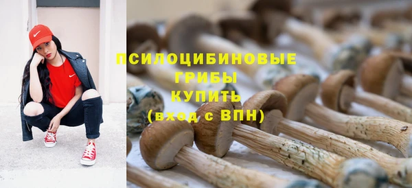стафф Белокуриха